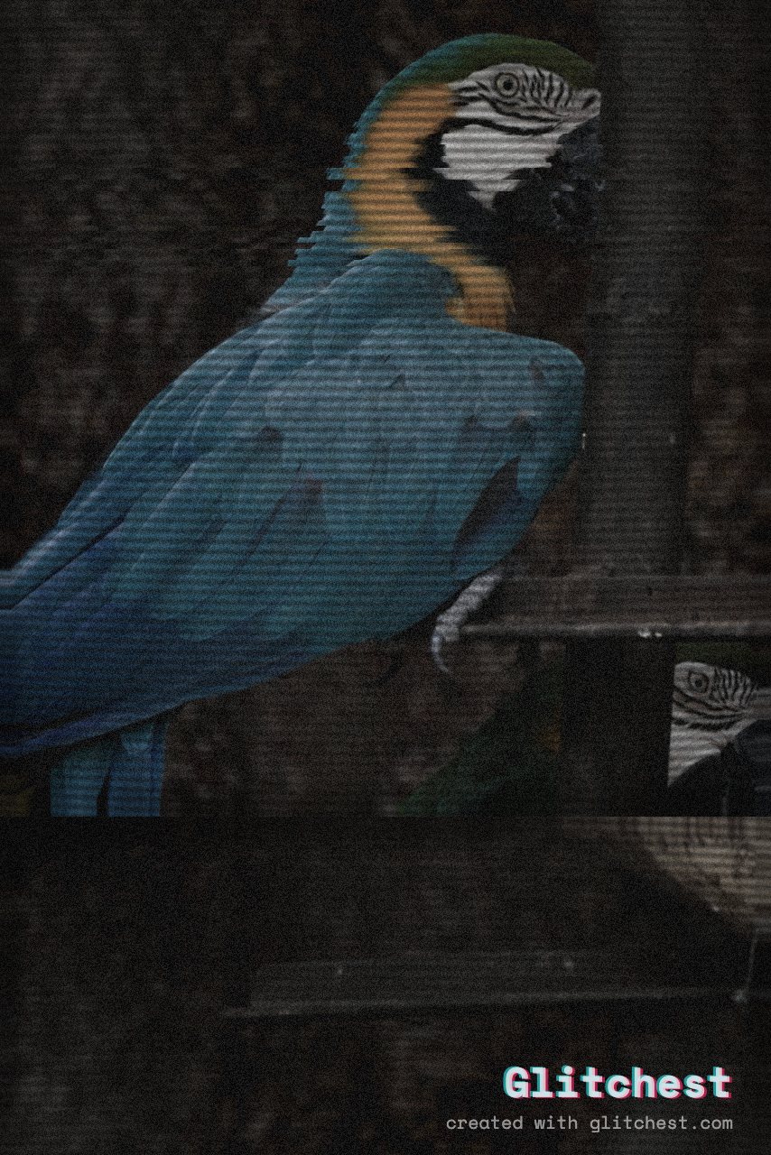 The Analog Horror glitch look applied to a photo in Glitchest