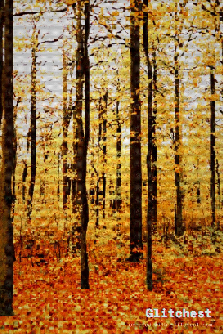 The Retro Game glitch look applied to a photo in Glitchest