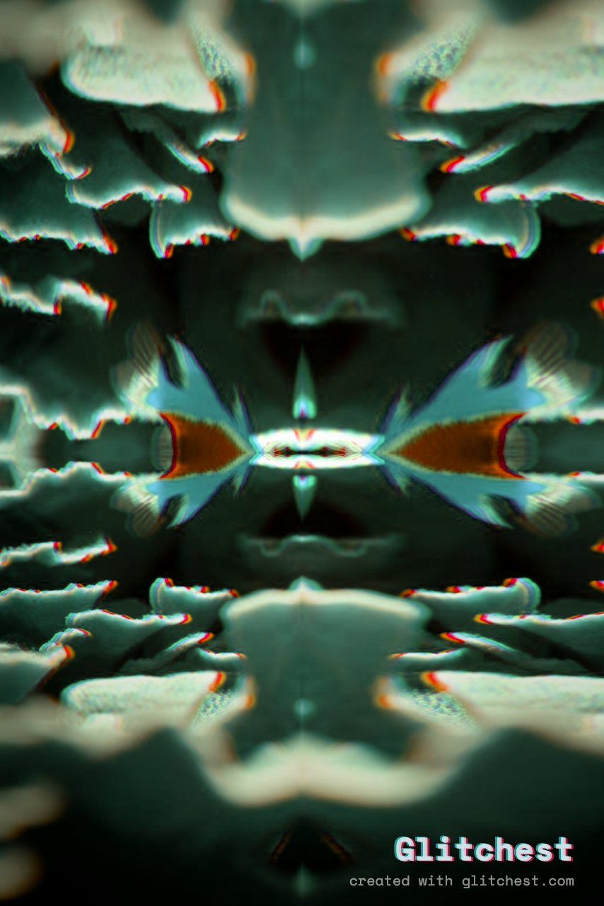 The Kaleidoscope glitch look applied to a photo in Glitchest