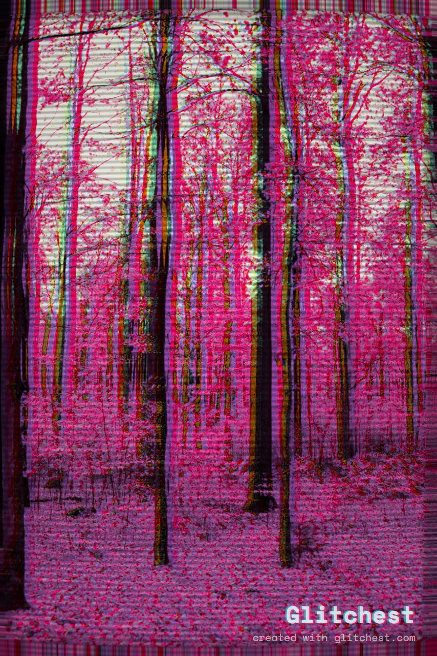 The Vaporwave glitch look applied to a photo in Glitchest