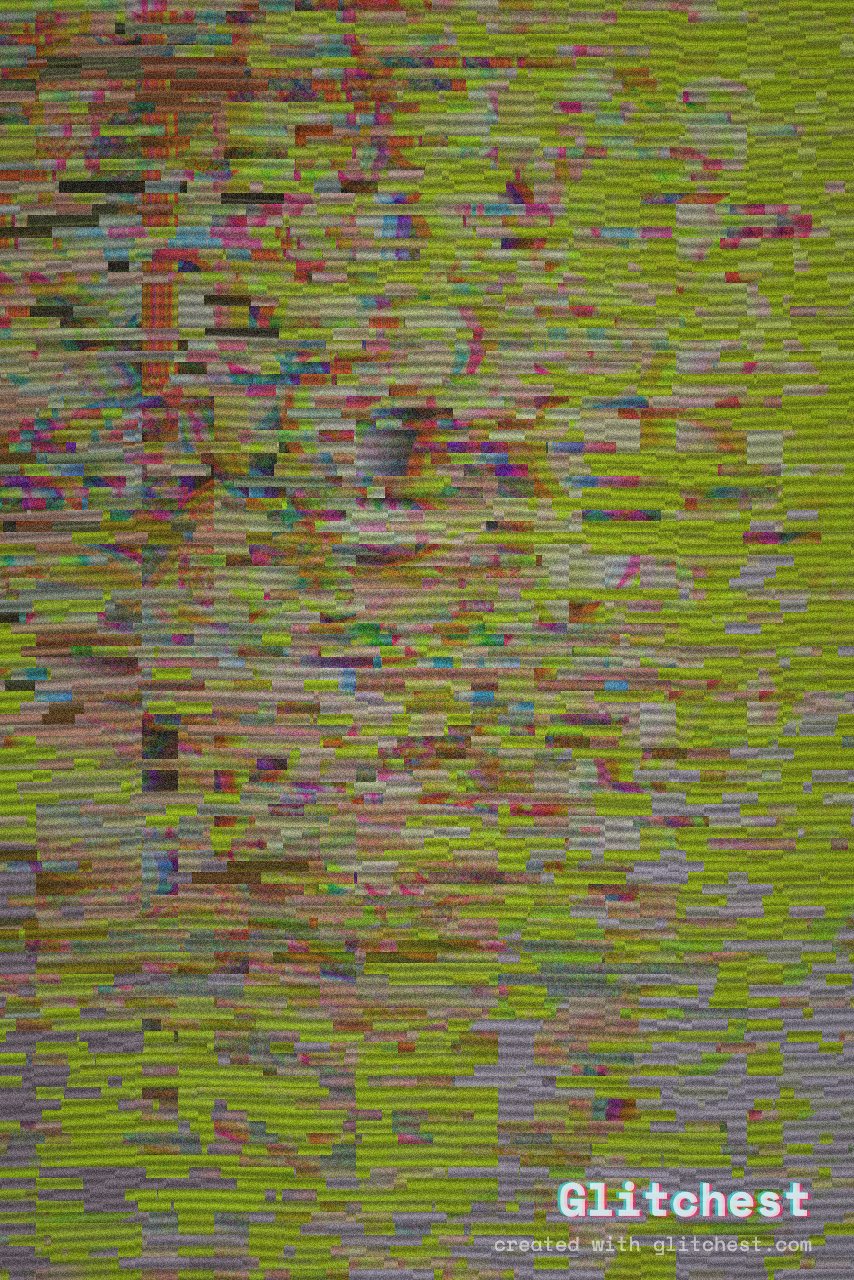 Broken Monitor glitch effect applied to a photo in Glitchest