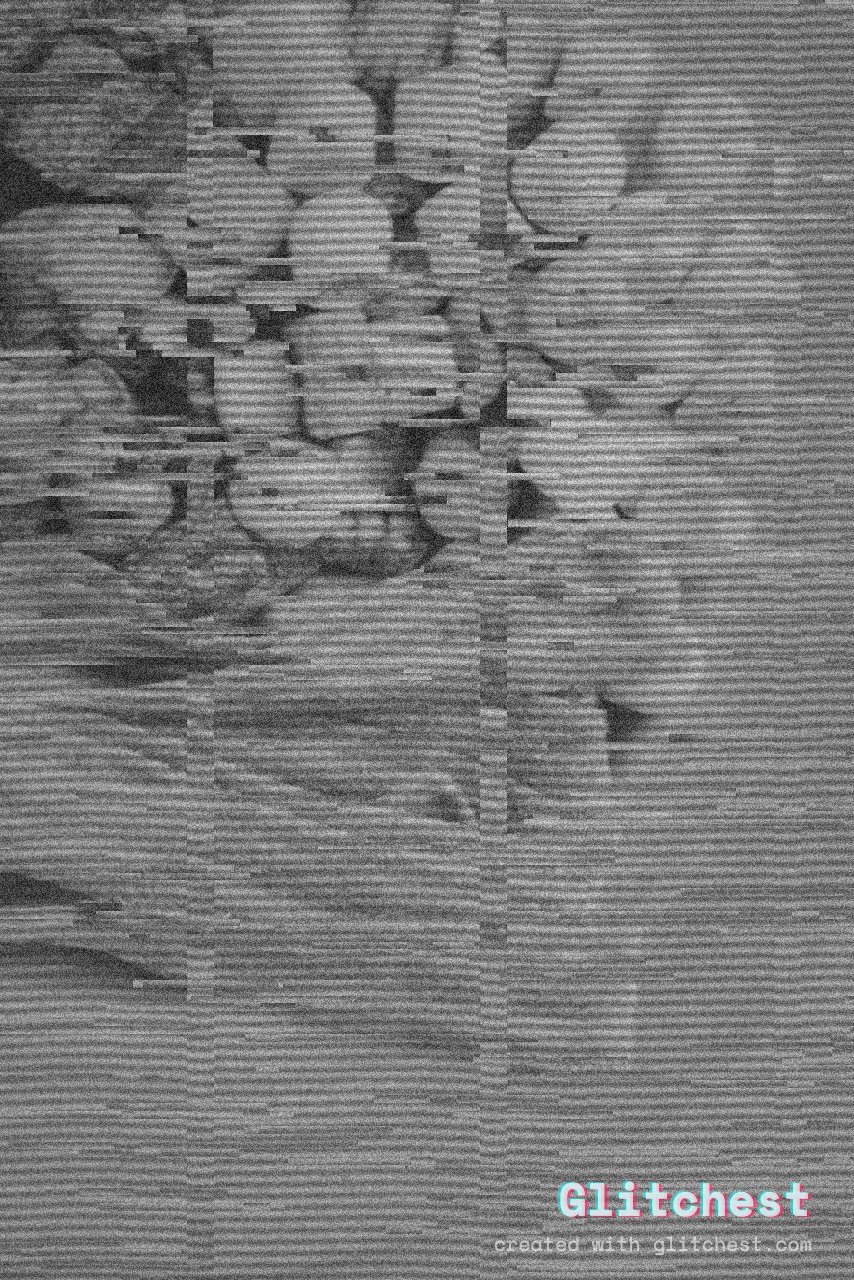 Dead Channel glitch effect applied to a photo in Glitchest