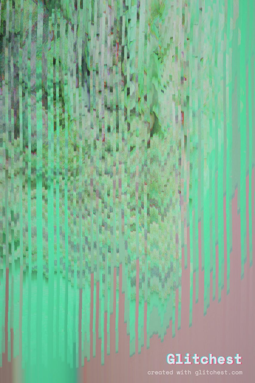 Meltdown glitch effect applied to a photo in Glitchest