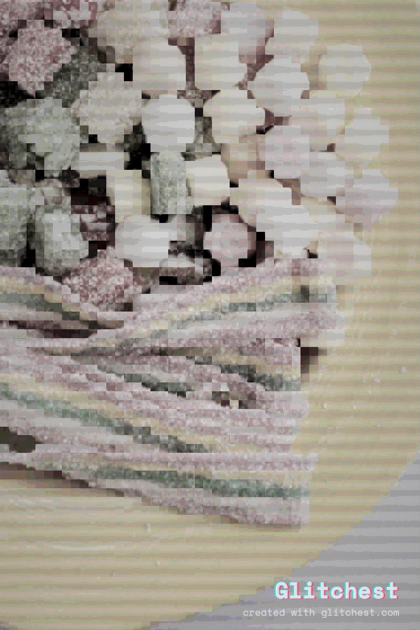 Retro Handheld glitch effect applied to a photo in Glitchest