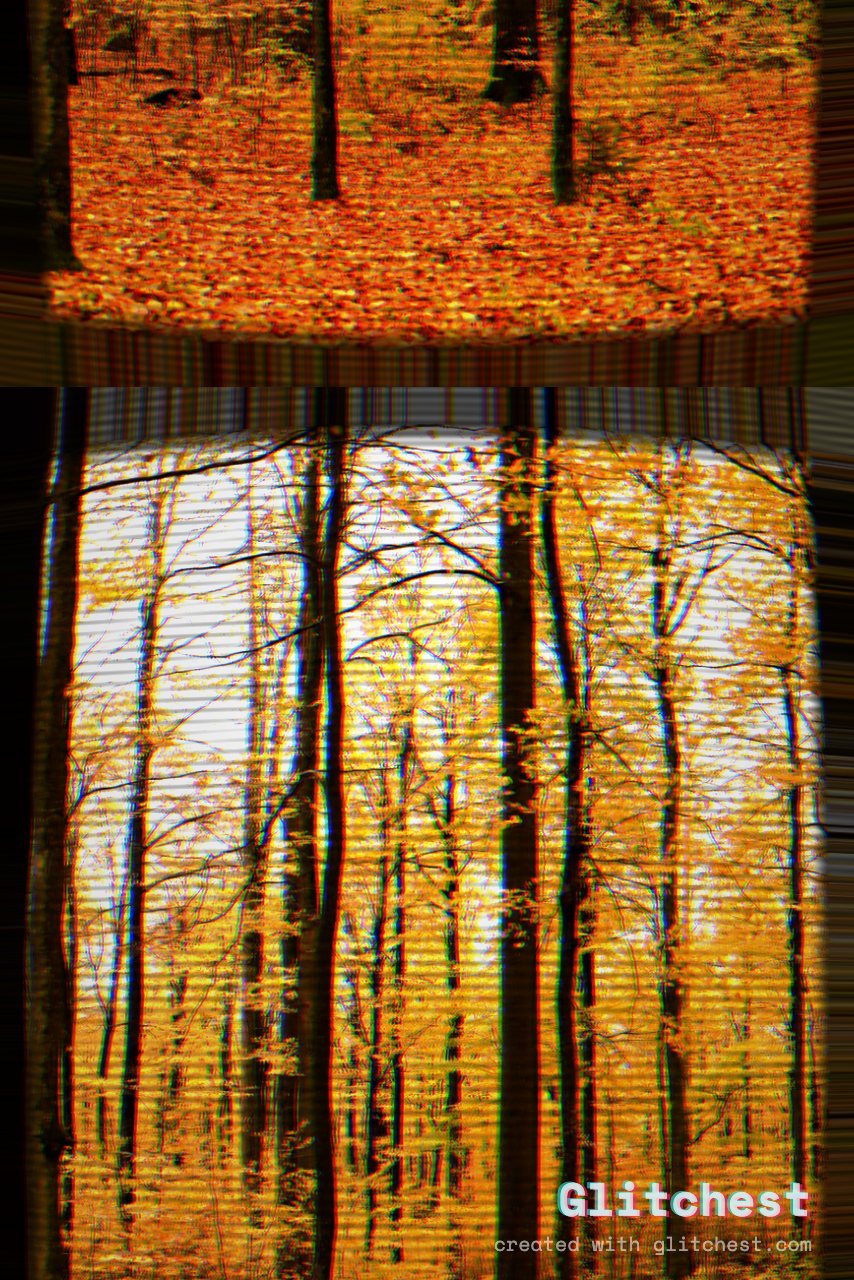 The CRT TV glitch look applied to a photo in Glitchest