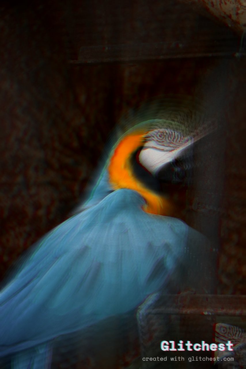 The Zoom Punch glitch look applied to a photo in Glitchest