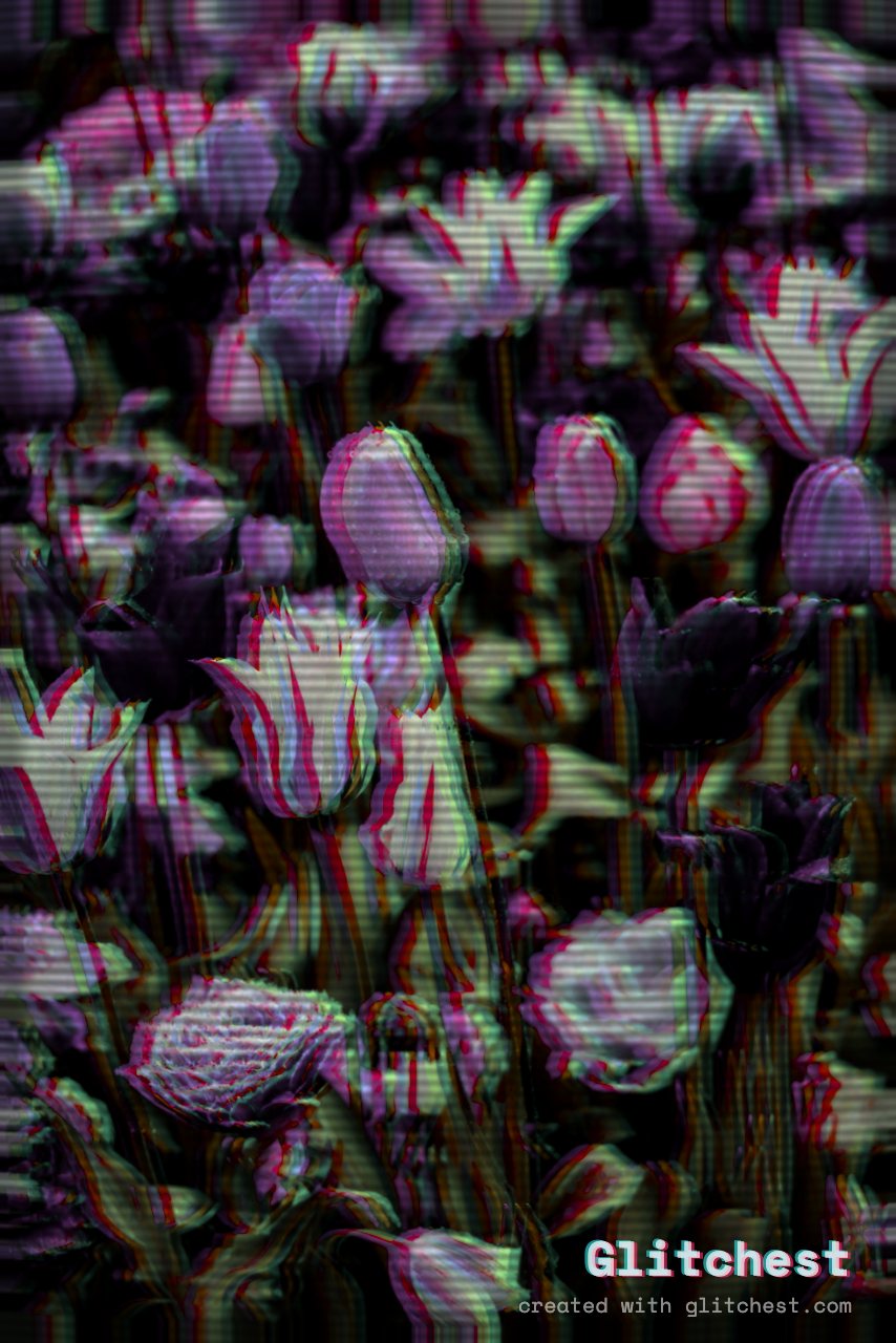 The Vaporwave glitch look applied to a photo in Glitchest